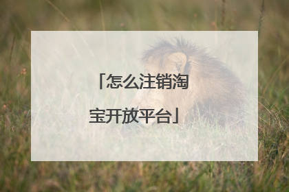 怎么注销淘宝开放平台