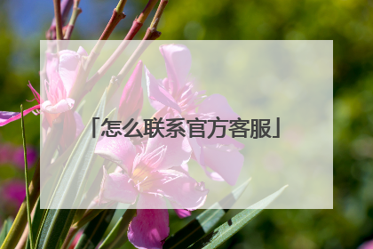 怎么联系官方客服