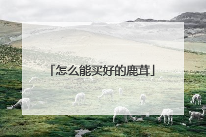 怎么能买好的鹿茸