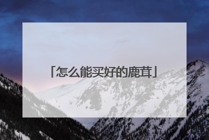 怎么能买好的鹿茸