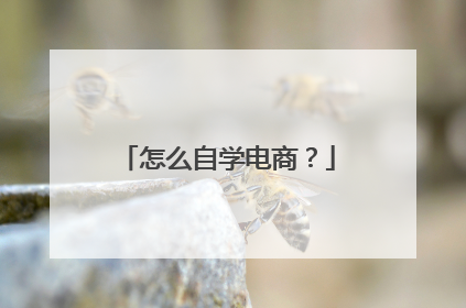 怎么自学电商?