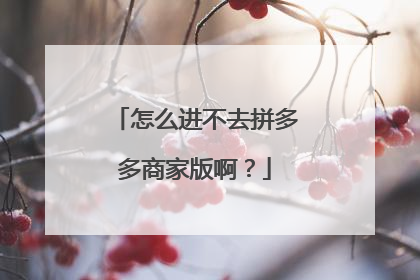 怎么进不去拼多多商家版啊?