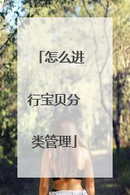 怎么进行宝贝分类管理