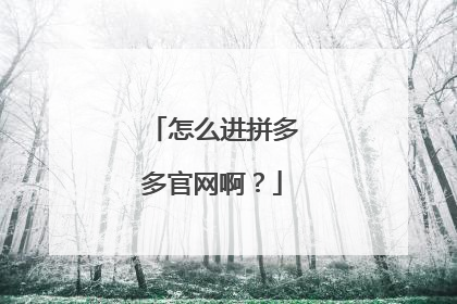 怎么进拼多多官网啊?