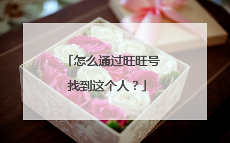 怎么通过旺旺号找到这个人？
