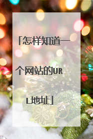 怎样知道一个网站的URL地址