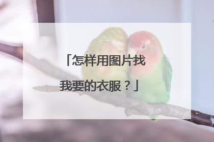 怎样用图片找我要的衣服?