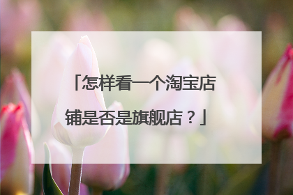 怎样看一个淘宝店铺是否是旗舰店?