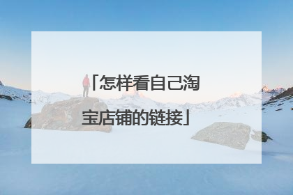 怎样看自己淘宝店铺的链接