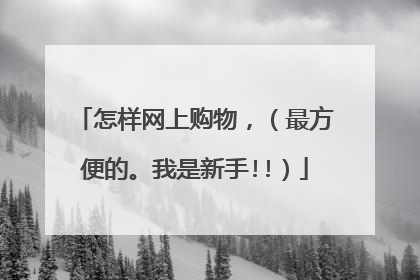 怎样网上购物,(最方便的。我是新手!!)