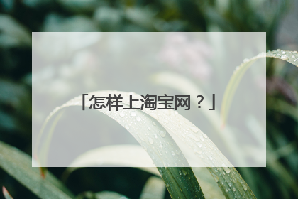 怎样上淘宝网?