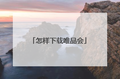 怎样下载唯品会
