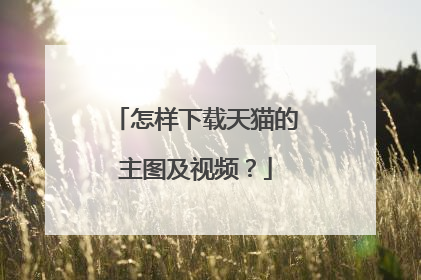 怎样下载天猫的主图及视频？