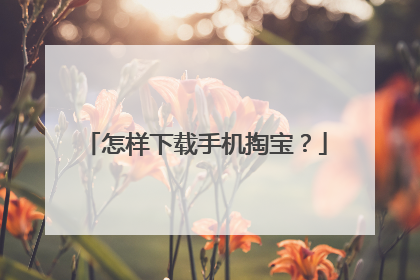 怎样下载手机掏宝?