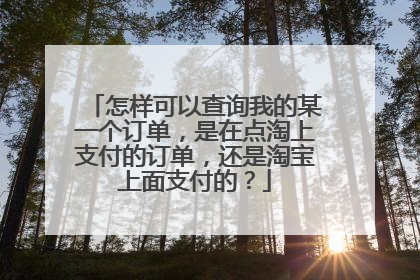 怎样可以查询我的某一个订单,是在点淘上支付的订单,还是淘宝上面支付的?