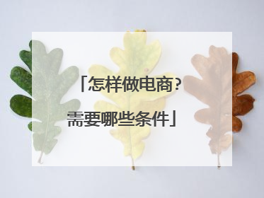 怎样做电商?需要哪些条件