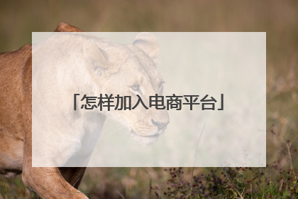 怎样加入电商平台