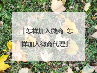 怎样加入微商 怎样加入微商代理
