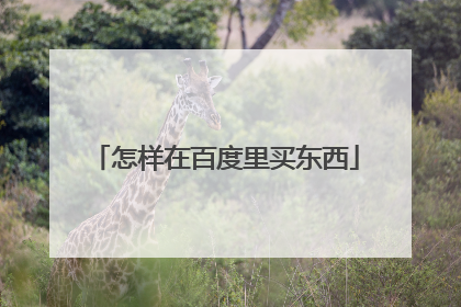 怎样在百度里买东西