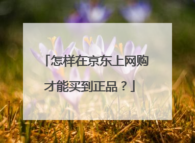 怎样在京东上网购才能买到正品?