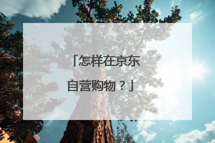 怎样在京东自营购物？