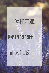 怎样开通阿里巴巴旺铺入门版