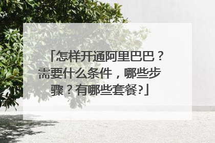 怎样开通阿里巴巴?需要什么条件,哪些步骤?有哪些套餐?