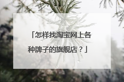 怎样找淘宝网上各种牌子的旗舰店？