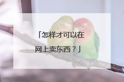 怎样才可以在网上卖东西?