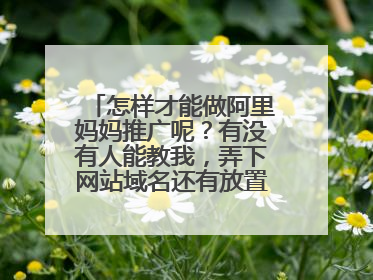 怎样才能做阿里妈妈推广呢?有没有人能教我,弄下网站域名还有放置root文件
