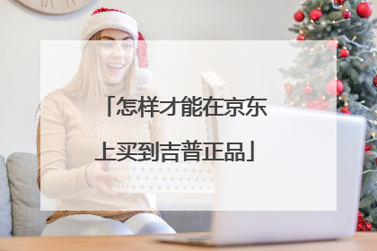 怎样才能在京东上买到吉普正品