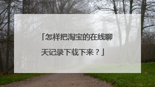 怎样把淘宝的在线聊天记录下载下来?