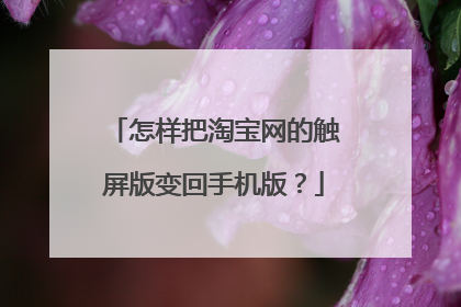 怎样把淘宝网的触屏版变回手机版?