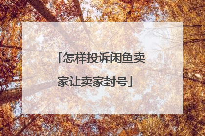 怎样投诉闲鱼卖家让卖家封号