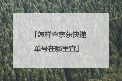怎样查京东快递单号在哪里查