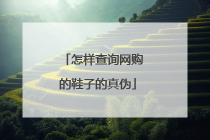怎样查询网购的鞋子的真伪