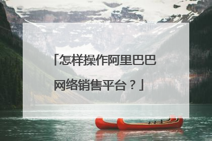 怎样操作阿里巴巴网络销售平台?