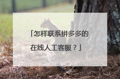 怎样联系拼多多的在线人工客服？