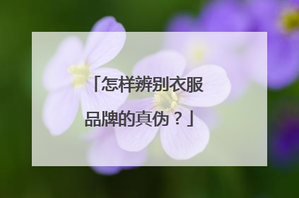 怎样辨别衣服品牌的真伪？