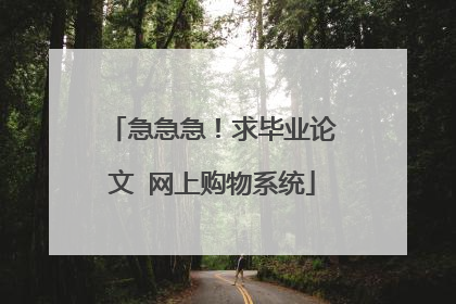 急急急！求毕业论文 网上购物系统