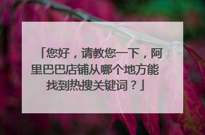您好,请教您一下,阿里巴巴店铺从哪个地方能找到热搜关键词?