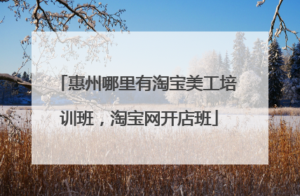 惠州哪里有淘宝美工培训班，淘宝网开店班