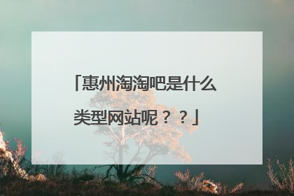 惠州淘淘吧是什么类型网站呢??
