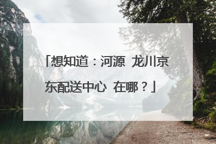 想知道:河源 龙川京东配送中心 在哪?