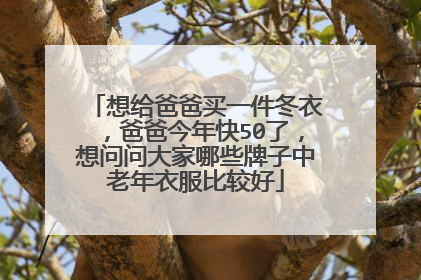 想给爸爸买一件冬衣,爸爸今年快50了,想问问大家哪些牌子中老年衣服比较好
