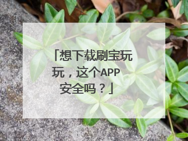 想下载刷宝玩玩,这个APP安全吗?