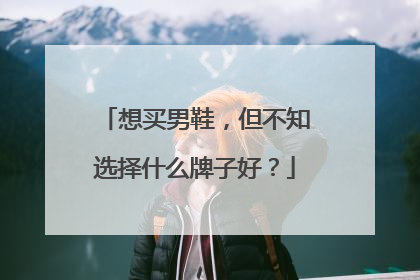 想买男鞋，但不知选择什么牌子好？