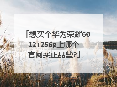 想买个华为荣耀6012+256g上哪个官网买正品些?