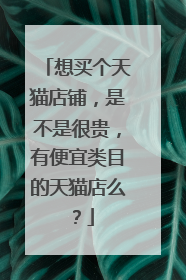 想买个天猫店铺,是不是很贵,有便宜类目的天猫店么?