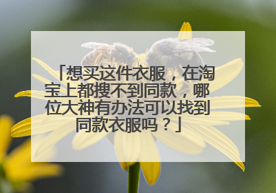 想买这件衣服，在淘宝上都搜不到同款，哪位大神有办法可以找到同款衣服吗？
